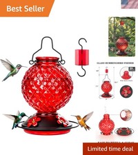 Glass Hummingbird Feeder for Outdoors Hanging, 25 OZ Humming Bird Nectar Feed...