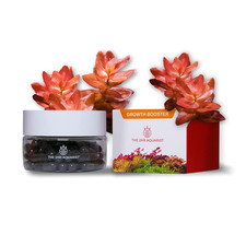 Fertilizzanti Piante Acquario APT J/Jazz Tabs (54 Tabs)