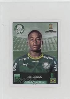 2023 Panini CONMEBOL Libertadores Stickers Endrick #202
