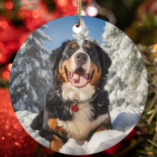 Cute Bernese Mountain Dog Santa Hat Snow Winter Christmas Ornament Gift Decor