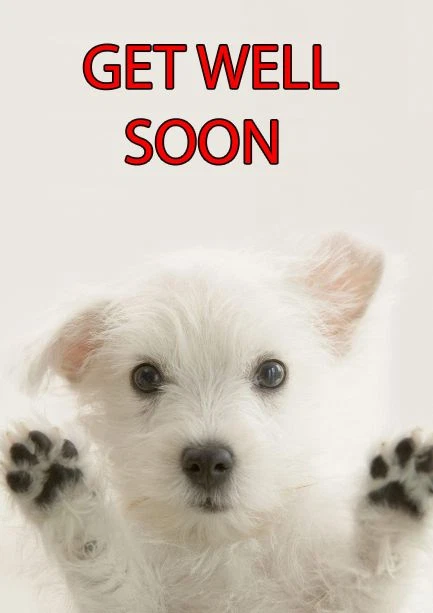 Westie A5 Personalised Greeting Card GET WELL SOON Card DOG ...