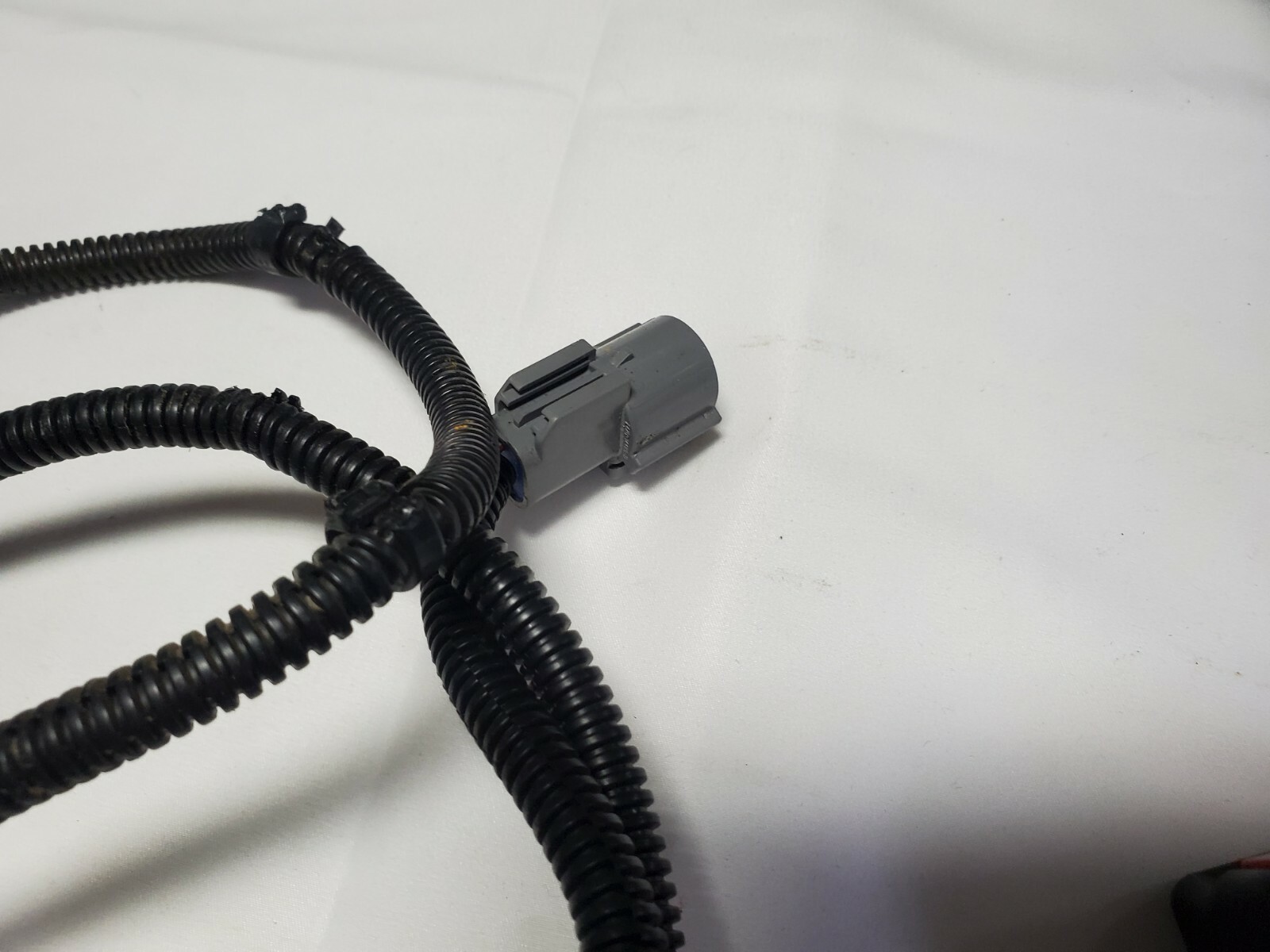 2004 - 2006 Ford Ranger Drivers & Passengers Front Seat Belt Buckles (OEM) 