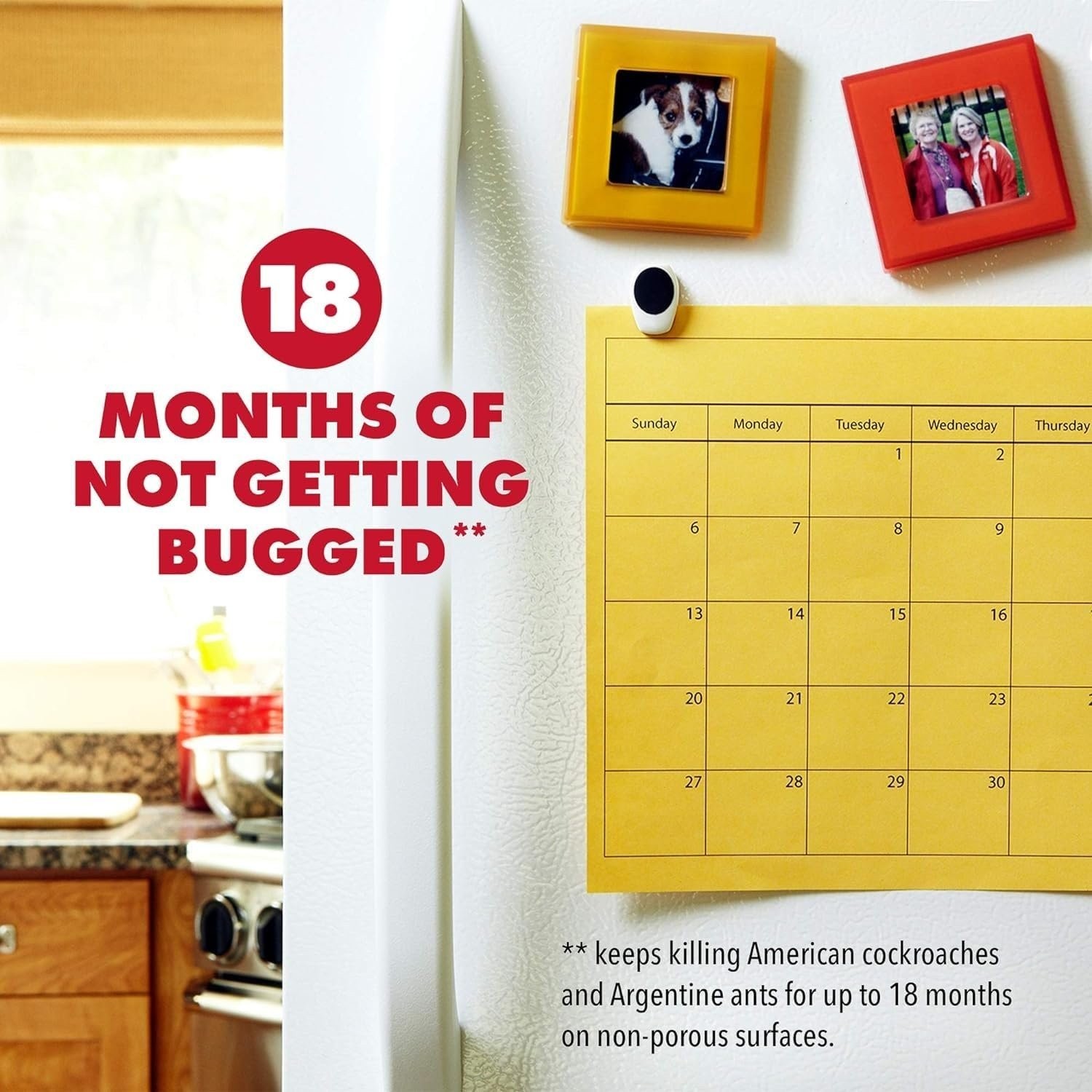 Raid MAX Defend Perimeter Protection Trigger Starter, 30 Fl Oz (Pack of 2)