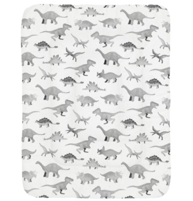 Carousel Designs  Baby Crib Comforter - Watercolor Dinosaurs 