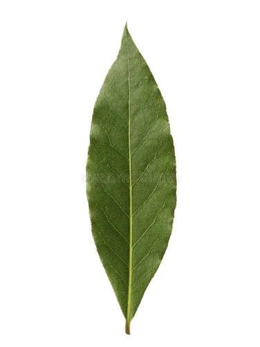 Viritilife Facial Toner All skin types goodness of Aloe and cucumber 100 ml - Picture 3 of 3