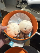 Authentic Jellycat Yum and Sum Set Gift Box Shanghai China exclusive ship US