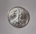 2015 $1 American Eagle 1 oz Silver Dollar Coin Walking Liberty listing #rkf13