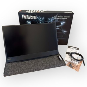 Lenovo Thinkvision M14 | eBay