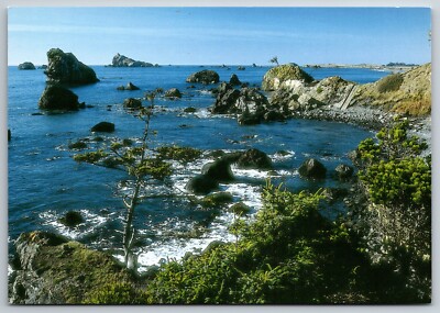 Pacific North Coast US Highway 101 Rocky Cliffs Ocean Inga Spence 6x4  Postcard