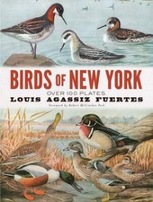 Birds of New York: Over 100 Plates by 