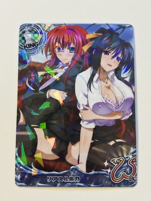 Sexy Group High School DxD Anime Doujin Waifu Art Card R08