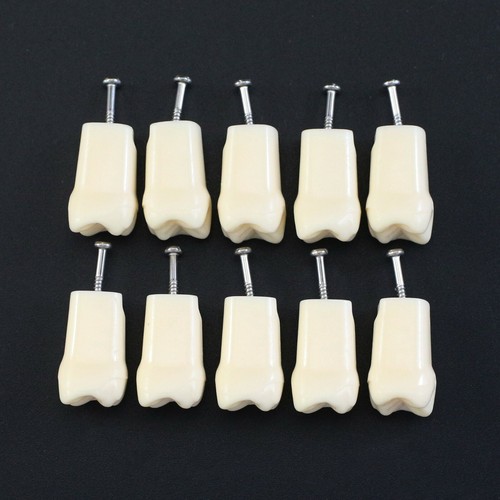 Dientes dentales Kilgore Nissin 200 #11 #21 #16 #26 #36 UR1 UR6 para Typodont M8012 - Imagen 25 de 54