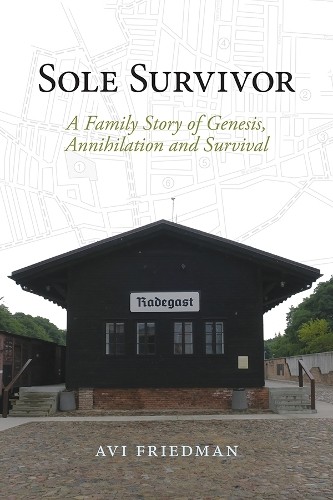 Sole Survivor by Avi Friedman - 9781773856919