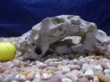 03 Texas/TN Holey Rock 04"x09"x04" Aquarium Reptile Honeycomb Limestone