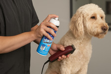 Andis Cool Care Plus Spray 15.5oz 5-in-1 Clipper Blade Cleaner Lubricant