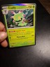 Pokémon TCG - Cradily 006/142 - SV07: Stellar Crown (SV07) Holofoil