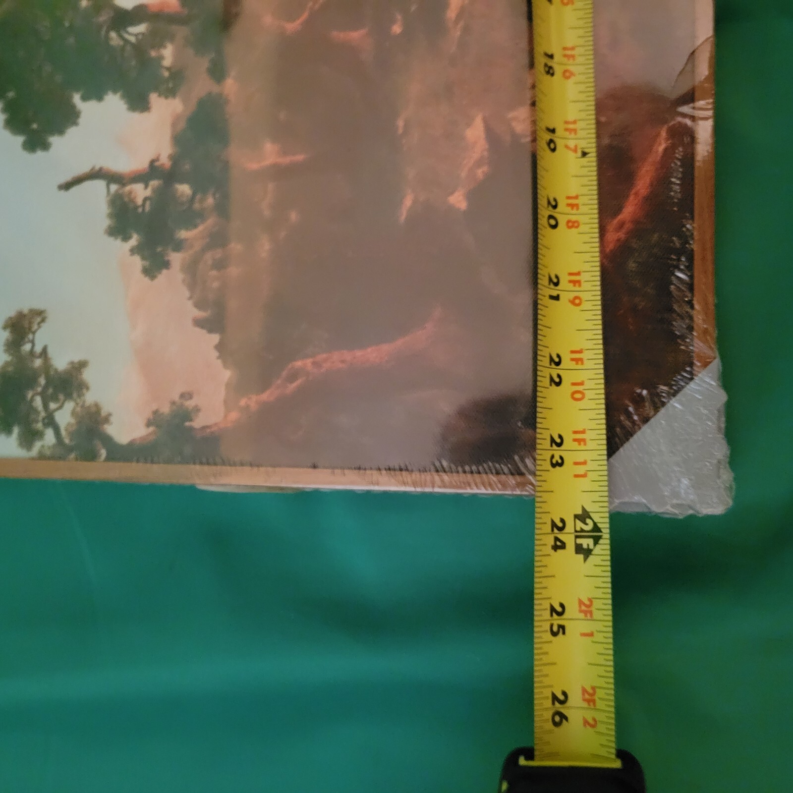 Picture 5 of 6