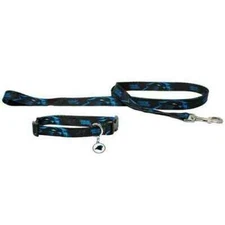 CAROLINA PANTHERS DOG PET SET DOG COLLAR LEASH ID TAG XS EXTRA SMALL