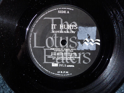 The Lotus Eaters - It hurts / The evidence      klasse UK Arista  45