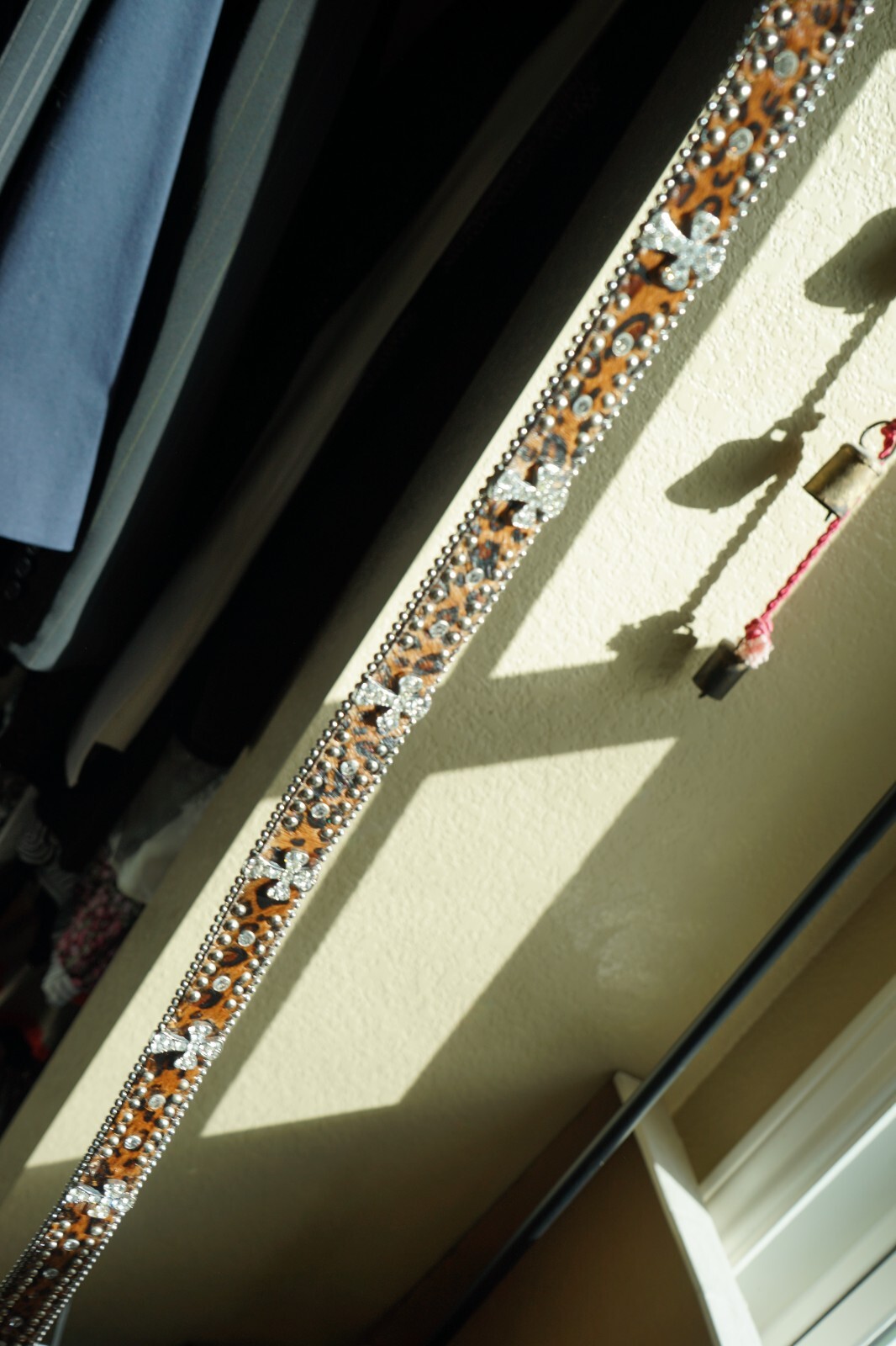 Bild 10 von 11