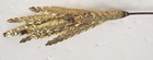 VINTAGE TORCH HAMMERED BRASS JERE STYLE 3D WALL ART, WHEAT STALKS MID-CENTURY — photo 3