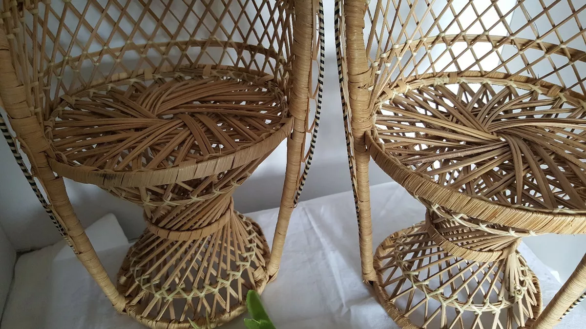 Ebay 2024 peacock chair