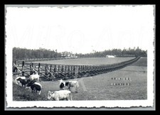 Foto, WK2, 269.Inf.Div., belgische Panzersperre an der franz. Grenze, L357L