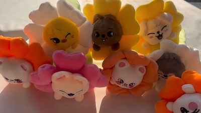 Stray Kids SKZOO Flower Plush Pencil Bag SKZ Coin Purse Stationery