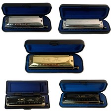 QI MEI New Chromatic Harmonica 12 Hole 48 Tone Mouth Organ Instruments Key of C