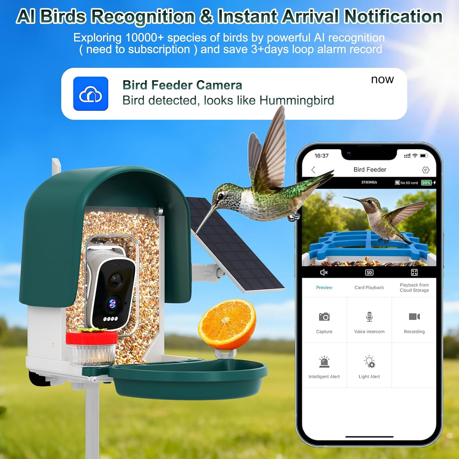Smart Bird Feeder with Camera Solar Powered, Al Ldentify 10000+ Birds, 4K HD Vid