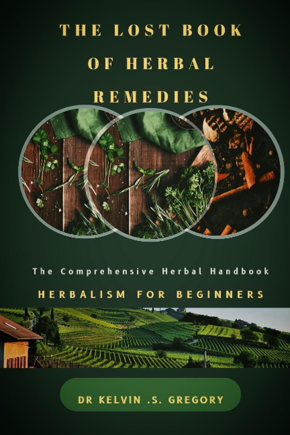 The Lost Book Of Herbal Remedies Herbalism For Beginners Large Print