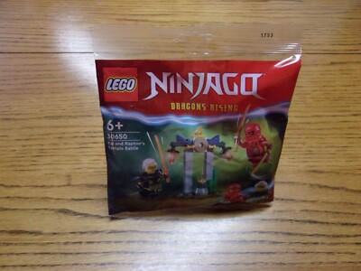 IN HAND New 2023 Lego Ninjago 30650 Kai and Rapton's Temple Battle Polybag Set