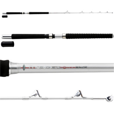 Mitchell Avocet PB 30/50 Roller Trolling Rute Norwegen Rute 1,70M 30-50Lbs Kva