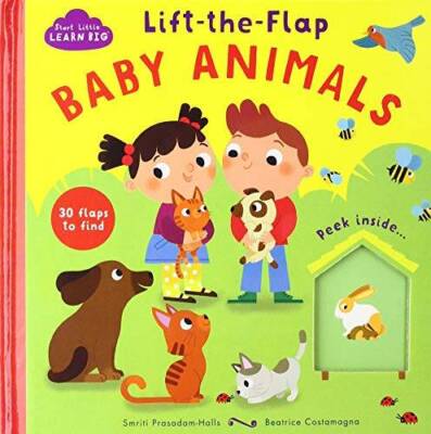 Lift-The-Flap Baby Animals (Start Little, Learn Big) - Board book - GOOD