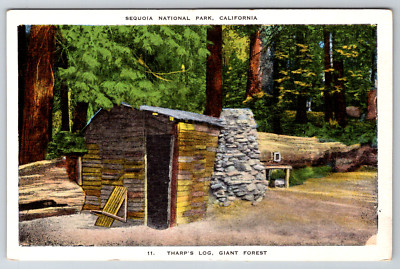 Linen Tharp's Log Giant Forest Sequoia National Park California c1940s