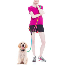 hands free leash for dogs