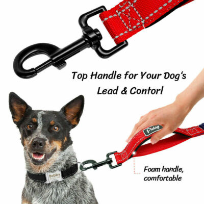 tough dog leash