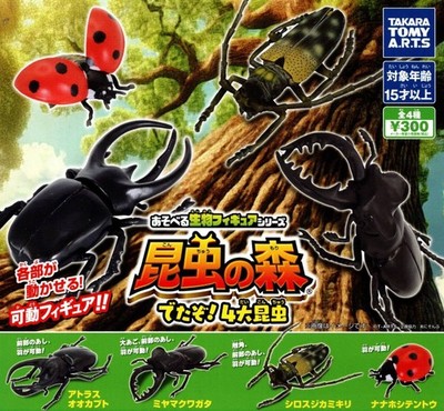 Shipping Included Immediate Decision Insect Forest Here It Is 4 Major Insects Al