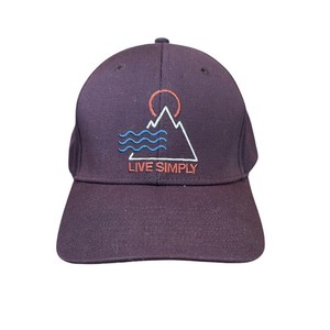 Patagonia Live Simply Hat | eBay
