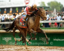 Orb 2013 Kentucky Derby 8x10 Photo New !!!!!!