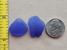 GENUINE BEACH SEA GLASS SURF TUMBLED COBALT BLUE CURVE SHAPE FROSTED MEDIUM H1