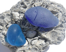 Sea Glass, Cobalt Blue Large Fish and Turquoise Shell