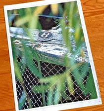 BENTLEY EIGHT 1990 - FRAMEABLE COLLECTIBLE ORIGINAL CLASSIC CAR POSTER IMAGE