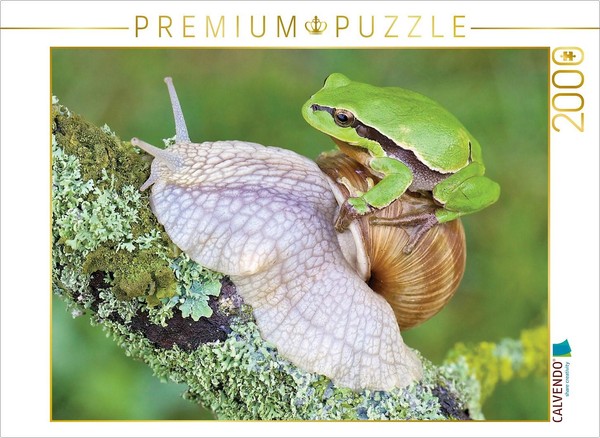 Calvendo Puzzle Tree Frog/Vine Snail | 2000 Pieces, Finished Size 35.4 × 26.4 In-image
