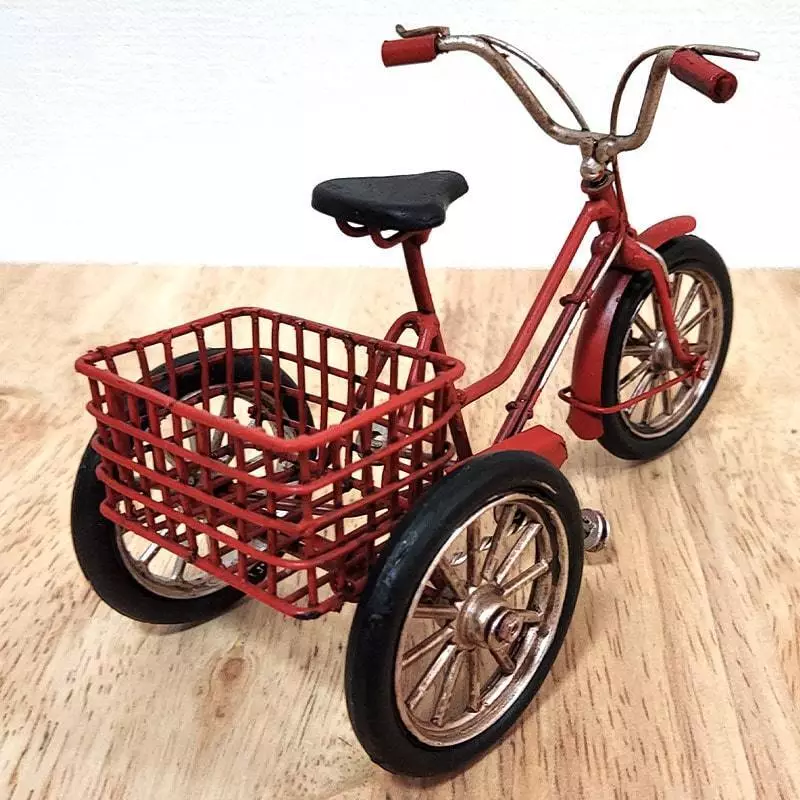 Cute tricycle 2025