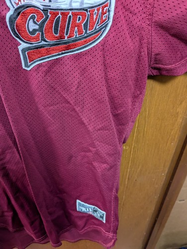 VTG AIS MiLB Altoona Curve Baseball Jersey #43 Maroon/Red Green Size 48 USA Made - Picture 10 of 24