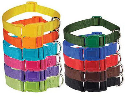 Download Nylon Dog Collar Bright & Basic Solid Color Pet 11 COLORS ...