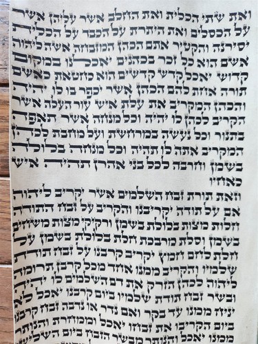 TORA ROLLE FRAGMENT HANDSCHRIFT auf VELLUM antike BIBEL LEVITIKUS 7:4-7:27 - Bild 4 von 6
