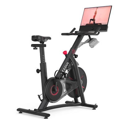 Heimtrainer Heimfitness Trainer Schwungrad Fahrrad mit HD 21 Bildschirm Gym W...