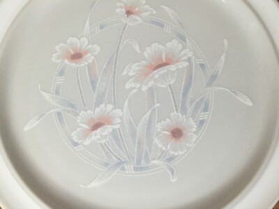 Noritake ノリタケ STONEWARE 大皿 ICEFLOWER Noritake Stoneware - Iceflower - Salad Plates - TWO - 2 - B976